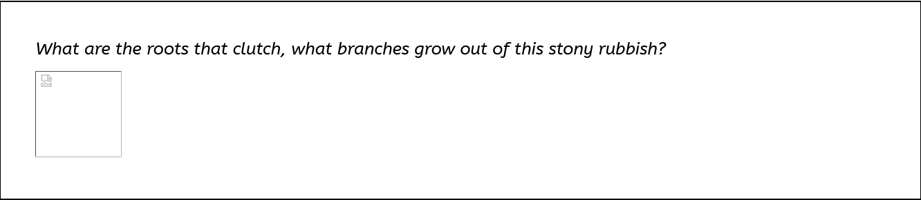 Text that reads 'What are the roots that clutch, what branches grow out of this stony rubbish?' Underneath is a broken image.